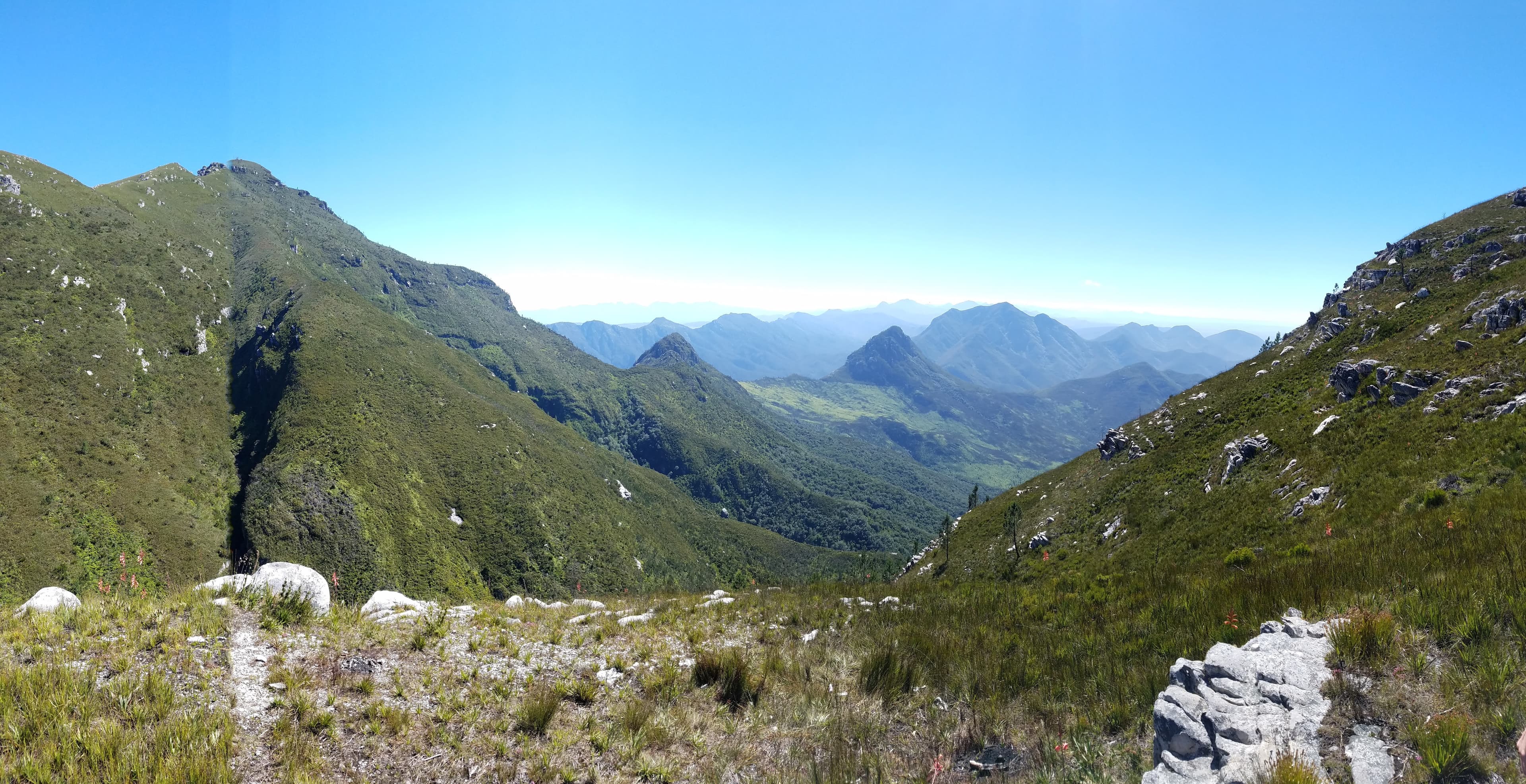 Mountain landscape along the Garden Route in South Africa.