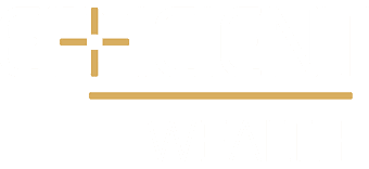 Efficient Wealth logo