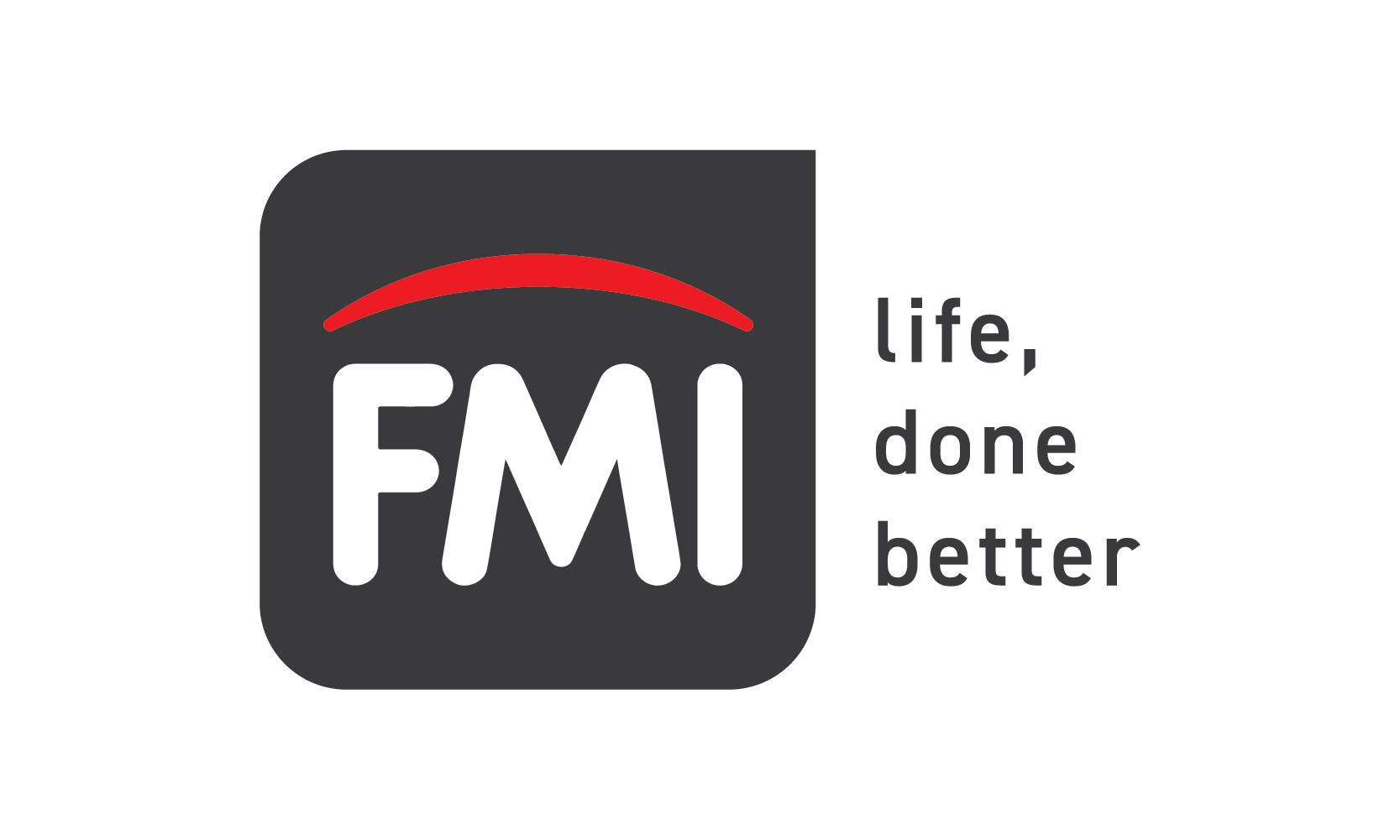 FMI logo