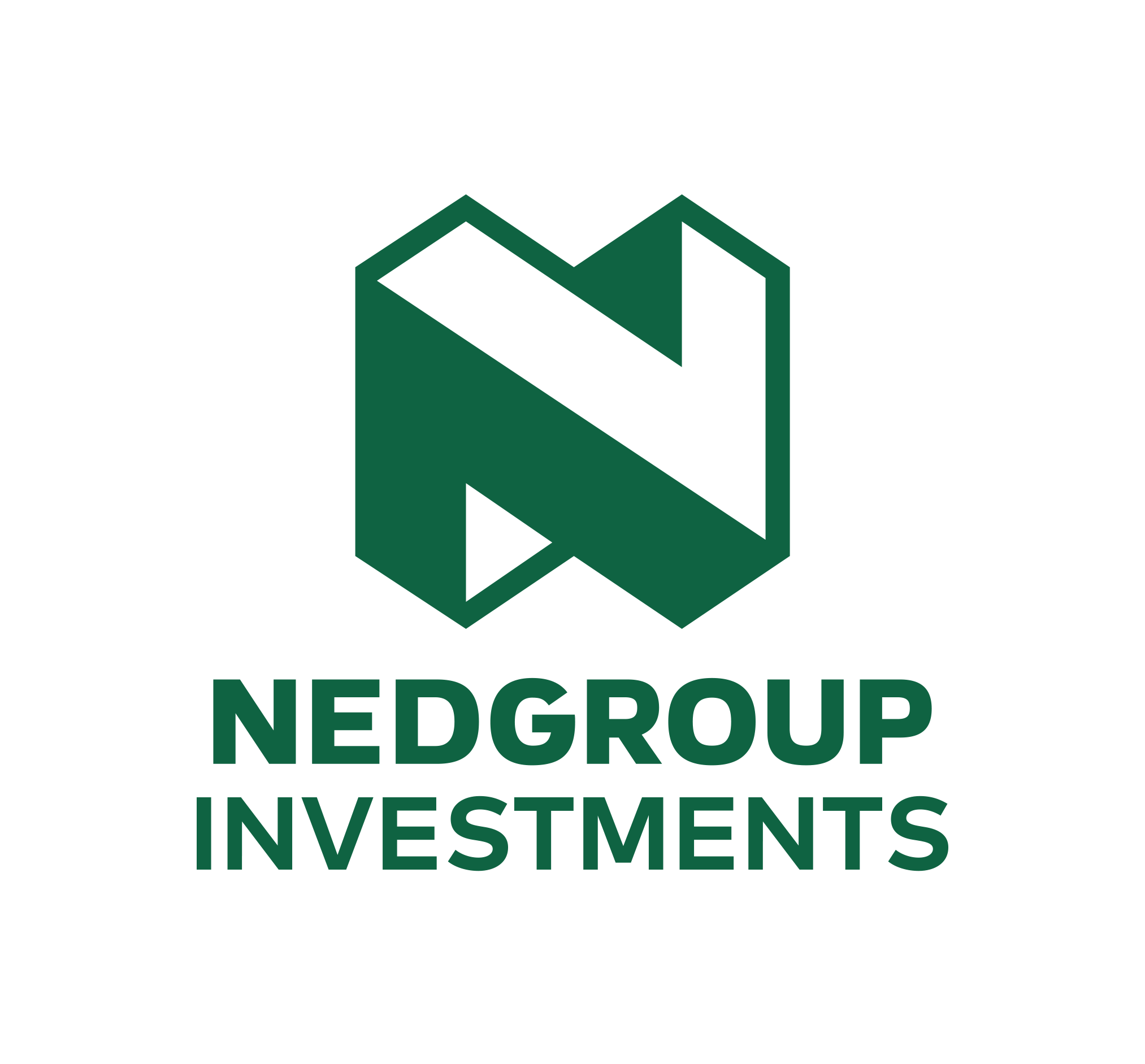 Nedgroup Investments logo