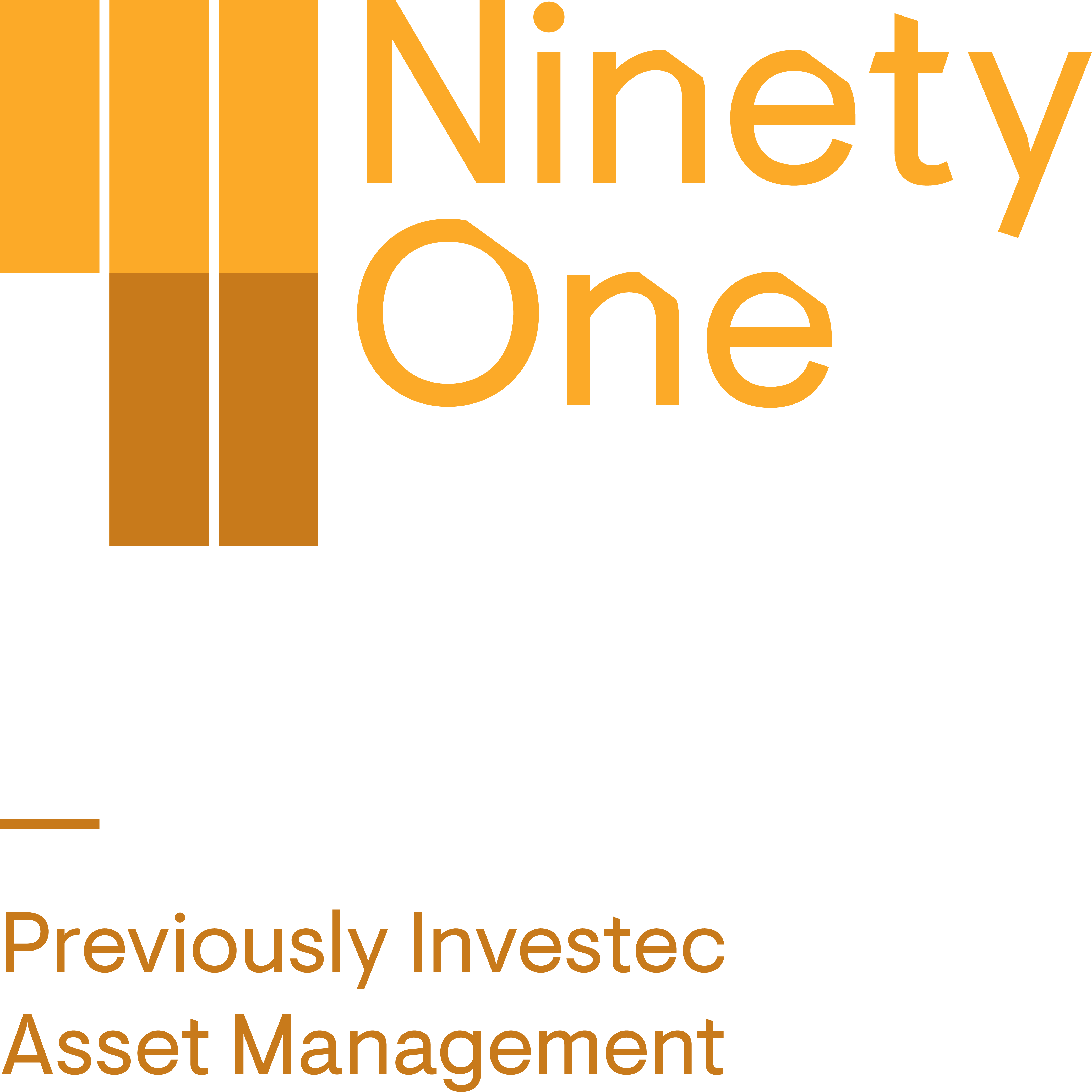 Ninety One logo